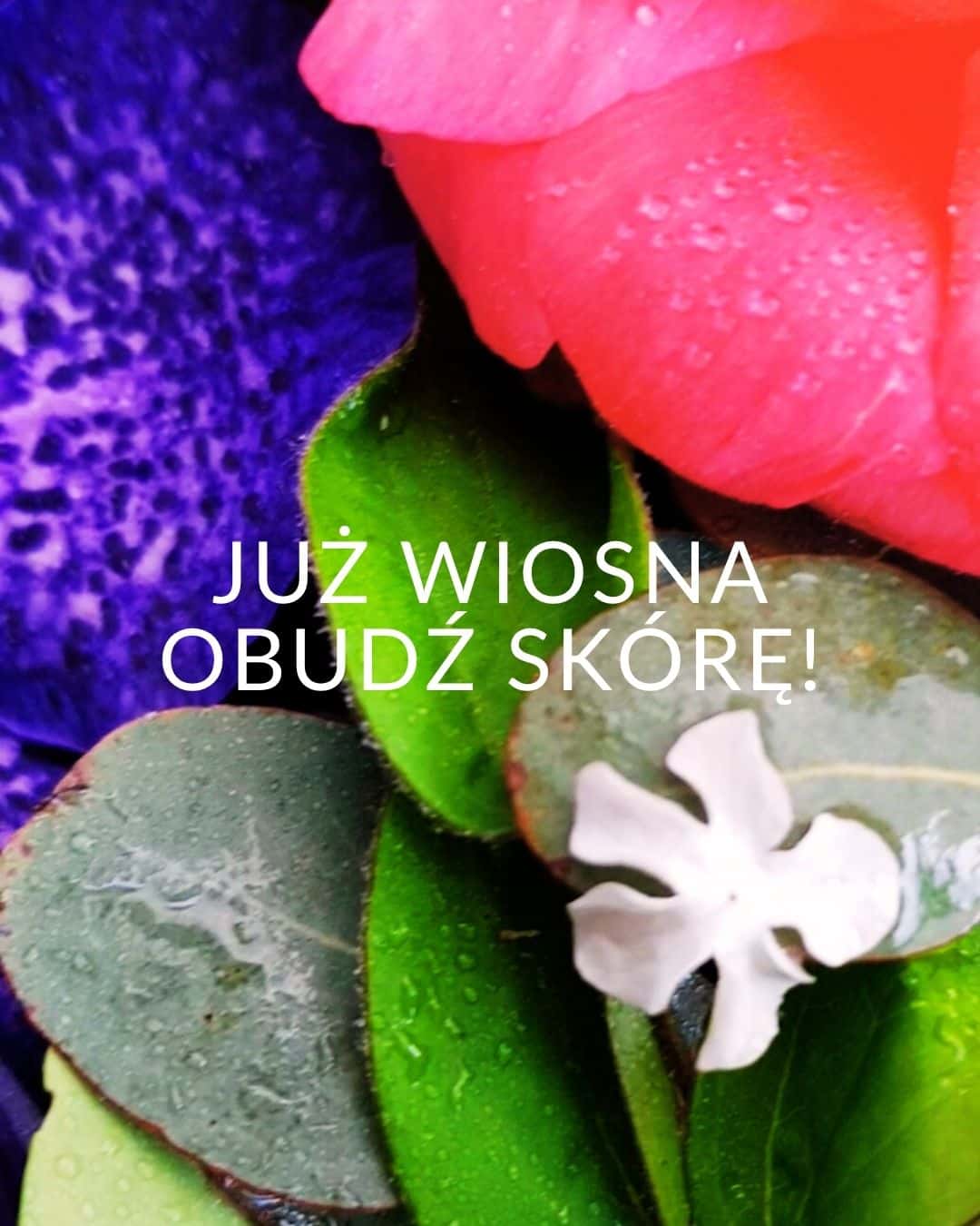 wiosna